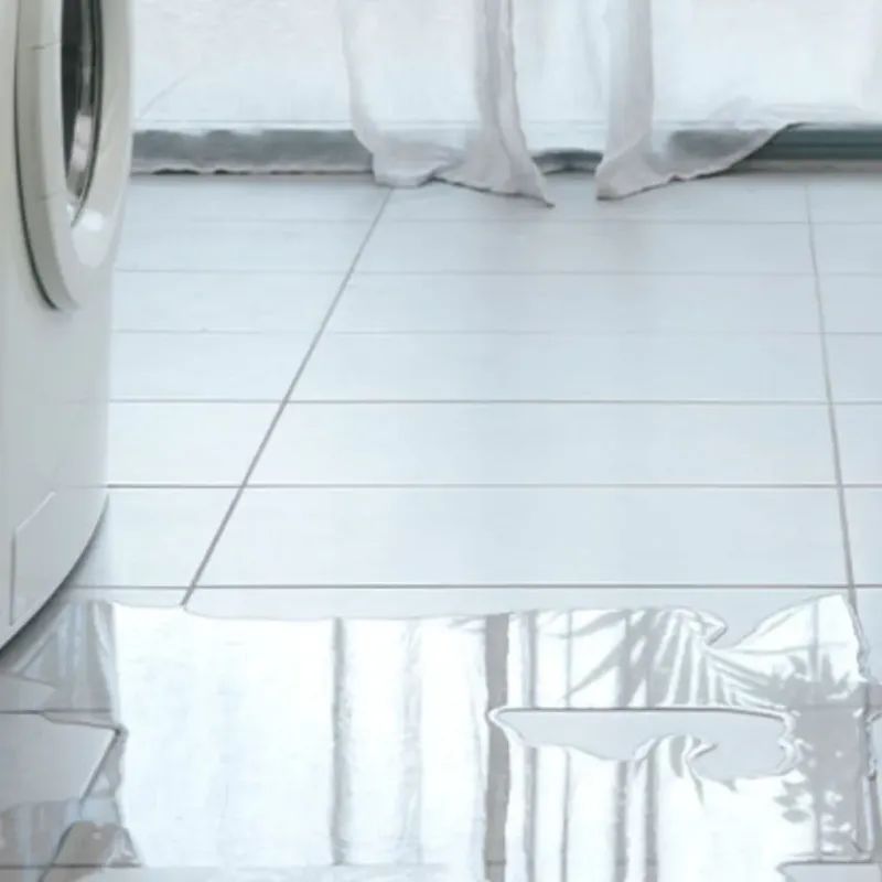 Appliance Leak Cleanup in Mason, MI