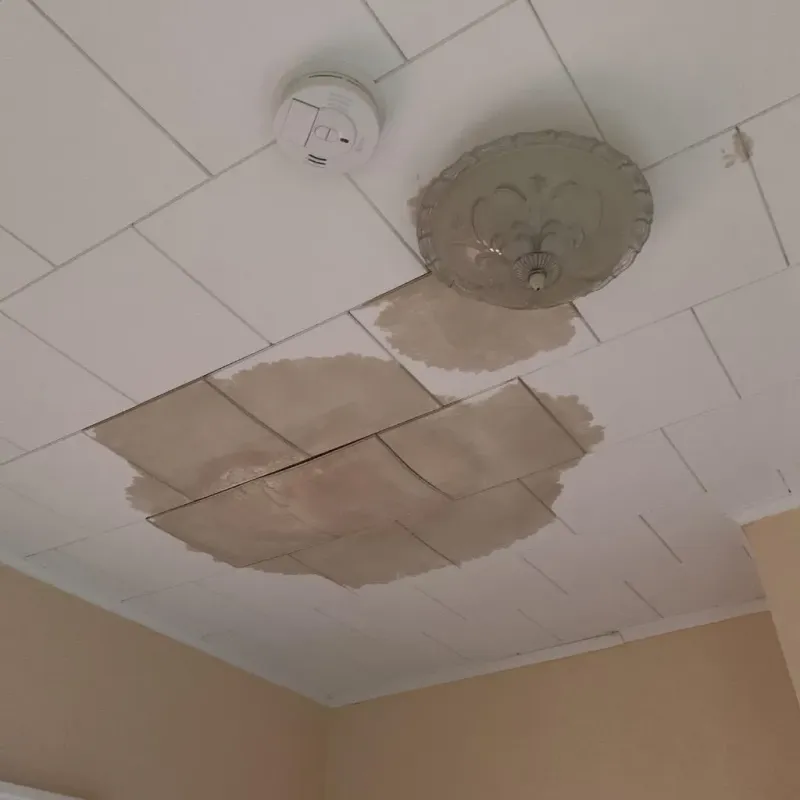 Ceiling Water Damage Repair in Mason, MI