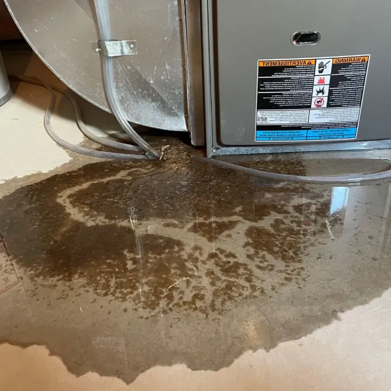 Pipe Burst and Leak Restoration in Mason, MI